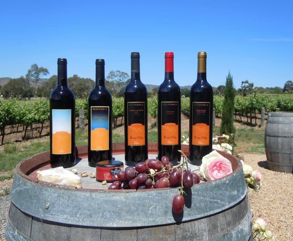Barossa Shiraz Estate Lyndoch Exterior foto